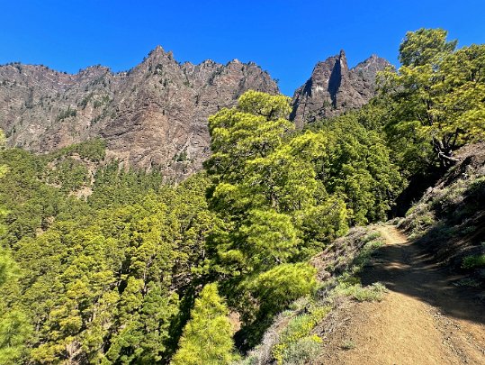 Parc national de la Caldeira de Taburiente La Palma - Canaries - Espagne