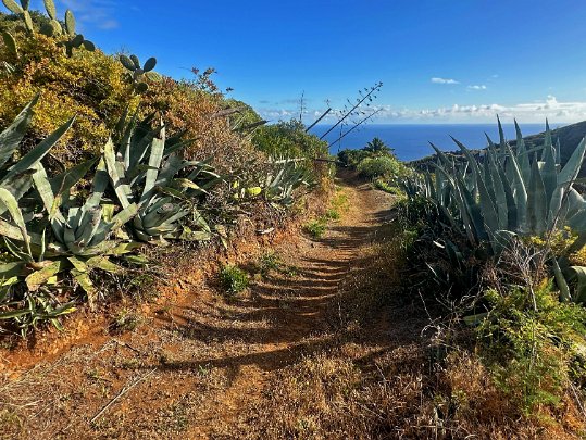 Puntallana - Nogales La Palma - Canaries - Espagne