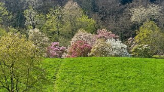 Arboretum du Vallon de l'Aubonne Arboretum 2024;