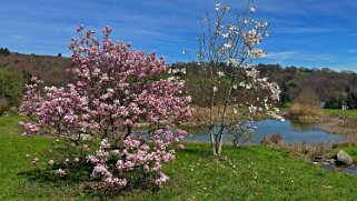 Arboretum du Vallon de l'Aubonne Arboretum 2024;