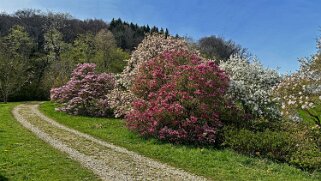 Arboretum du Vallon de l'Aubonne Arboretum 2024;