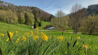 Arboretum du Vallon de l'Aubonne Arboretum 2024;