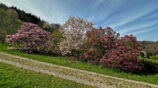 Arboretum du Vallon de l'Aubonne Arboretum 2024;