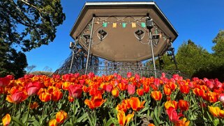 Fête de la Tulipe - Morges null