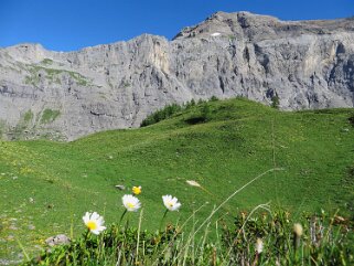 Combe des Andins Rando 2016