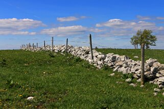 Creux du Van Rando 2019