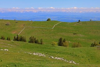 Creux du Van Rando 2019