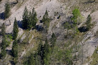 Creux du Van Rando 2019