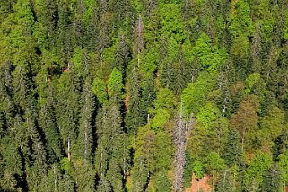 Creux du Van Rando 2019