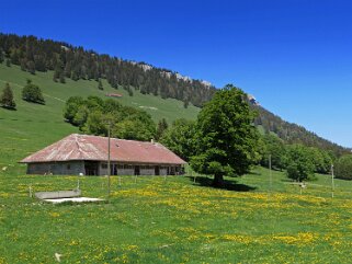 Les Praz - L'Aiguillon Rando 2020