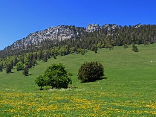 Aiguilles de Baulmes 1558 m Rando 2020