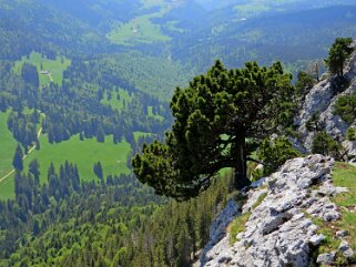 Aiguilles de Baulmes 1558 m Rando 2020