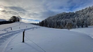 Le Pont - Dent de Vaulion Rando 2020