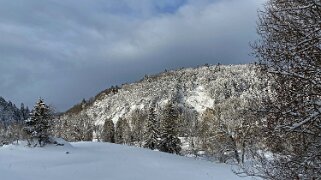 Le Pont - Dent de Vaulion Rando 2020