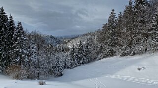 Le Pont - Dent de Vaulion Rando 2020