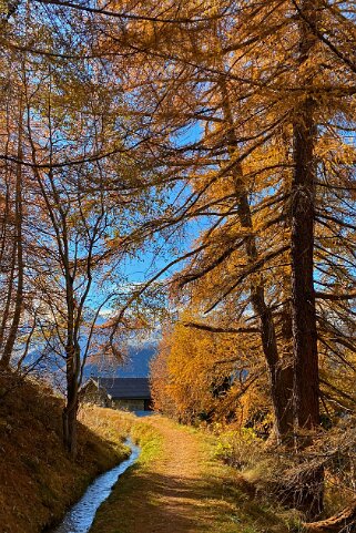 Bisse de Saint-Martin - Val d'Hérens Rando 2020