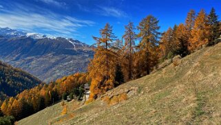 Le Mayen des Praz - Val d'Hérens Rando 2020