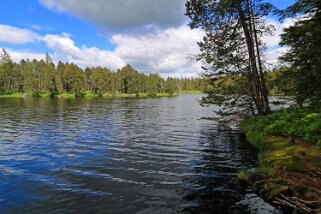 Etang de la Gruère 964 m Balade 2020