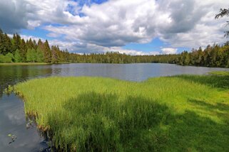 Etang de la Gruère 964 m Balade 2020