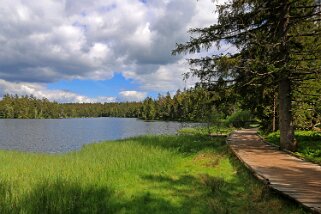 Etang de la Gruère 964 m Balade 2020