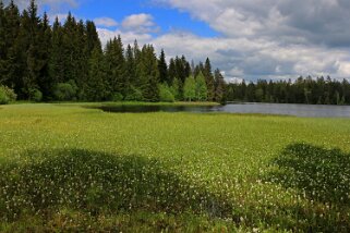 Etang de la Gruère 964 m Balade 2020