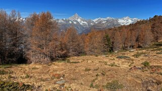 Sänntum - Bietschorn 3934 m Rando 2020