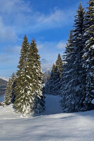 Le Revers - Lac de Joux Rando 2020