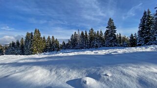 Le Revers - Lac de Joux Rando 2020