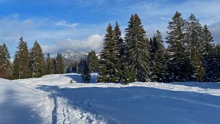 Le Revers - Lac de Joux Rando 2020