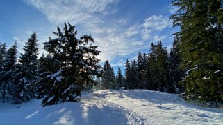 Le Revers - Lac de Joux Rando 2020