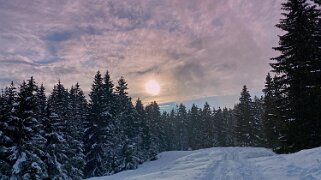 Le Revers - Lac de Joux Rando 2020