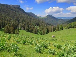 Chalet des Roches Eboulées Rando 2020