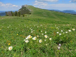 2020 Le Chasseron