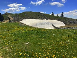 Mont Tendre 1679 m Rando 2020