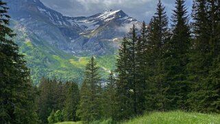 Col du Pillon - Les Diablerets Rando 2020