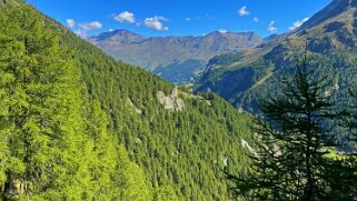 Val d'Arolla Rando 2021