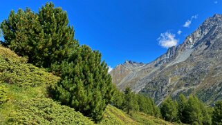 Val d'Arolla Rando 2021