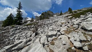 Lapiaz de Schratteflue - Biosphère de l'Entlebuch Rando 2021