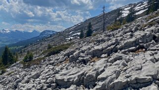 Lapiaz de Schratteflue - Biosphère de l'Entlebuch Rando 2021