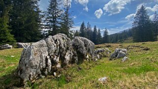 Lapiaz de Schratteflue - Biosphère de l'Entlebuch Rando 2021