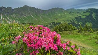 2021 Champéry - Barme