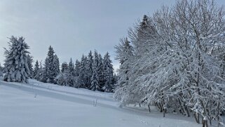 Châtel Rando 2021