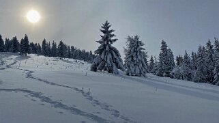 Châtel Rando 2021