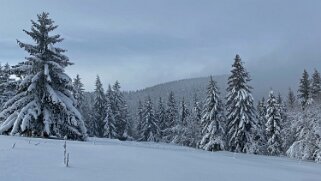 Châtel Rando 2021