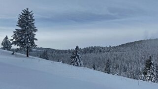 Châtel Rando 2021