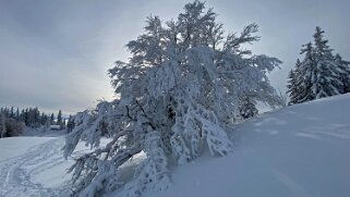 Croix de Châtel 1432 m Rando 2021