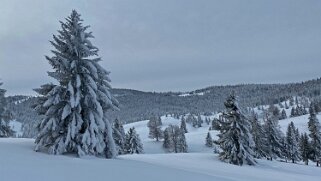 Combe de la Neige Rando 2021