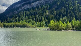 Lac de Derborence 1451 m Rando 2021