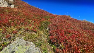 Fiescheralp Rando 2021