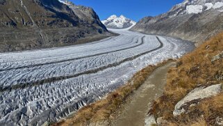 Glacier d'Aletsch Rando 2021